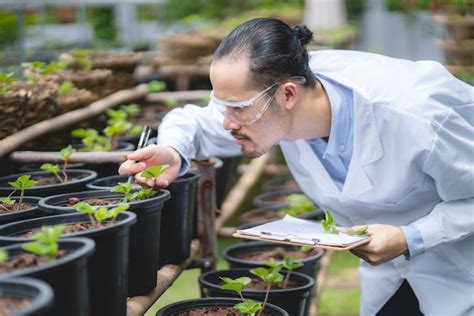 Cientista Da Agricultura Trabalhando Para Pesquisar Uma Planta Vegetal