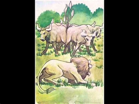 Aesop S Fables The Four Oxen And The Lion YouTube