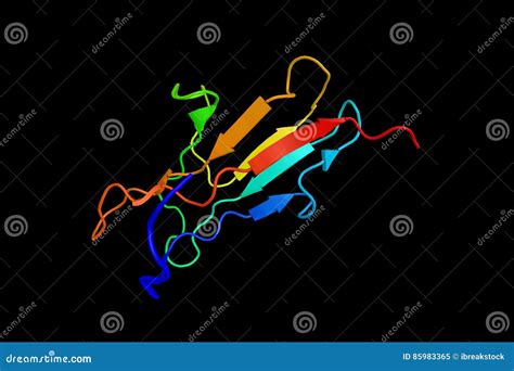 Rage The Receptor For Advanced Glycation Endproducts A Transmembrane