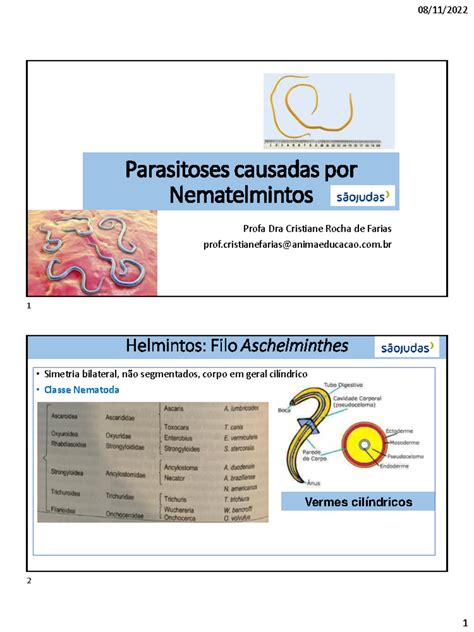 Doenças Causada Por Nematelmintos - 5