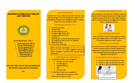 Leaflet Menthorsip Anc Terpadu Kelompok 6 Kelas C Pdf