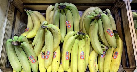 Climate Change Poses Enormous Threat” To Banana Business Article