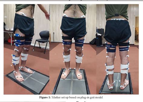 Figure From Comparing Lower Limb Kinematics In Healthy Individuals