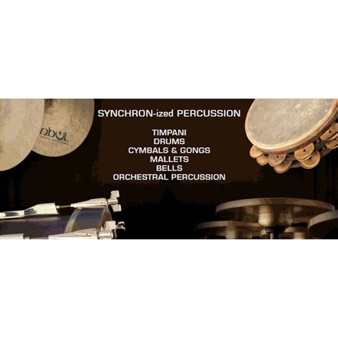 Vienna Symphonic Library SYNCHRON Ized Percussi VSLSYB31UGF B H