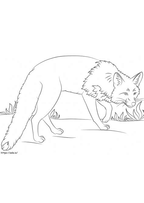 Coloriages 3 Renard Roux Coloriage Dessin A Colorier Imprimables