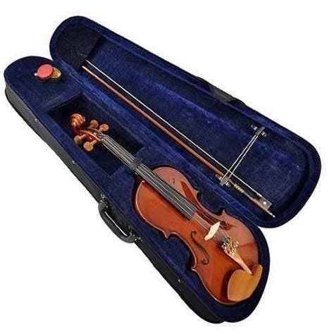 Violino Profissional Hofma Envernizado Hve Envio H Of