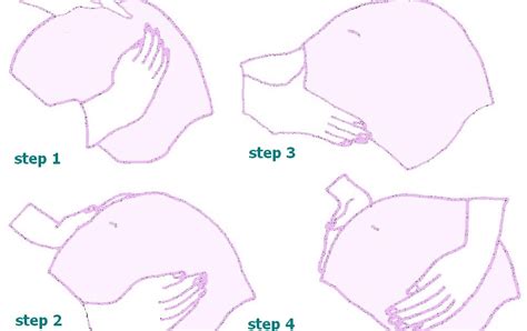 data base: Leopold's Maneuvers