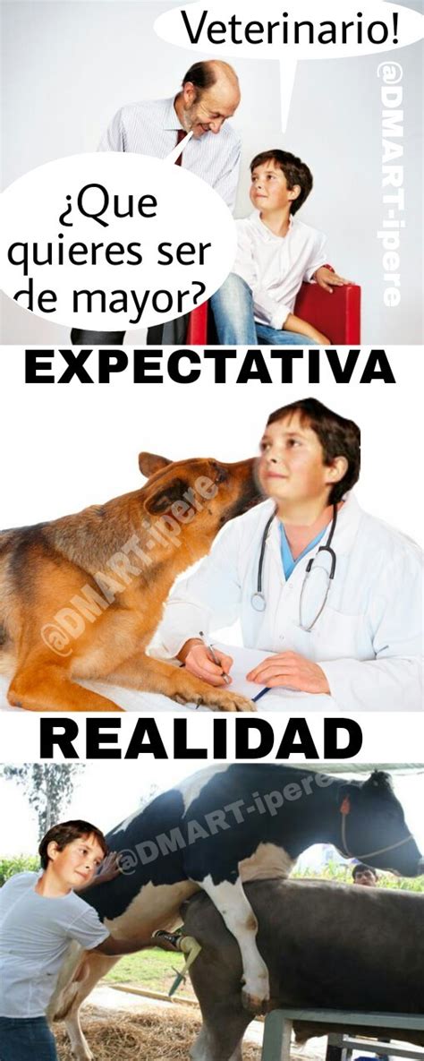 Expectativa VS Realidad Meme Subido Por DMART Ipere Memedroid