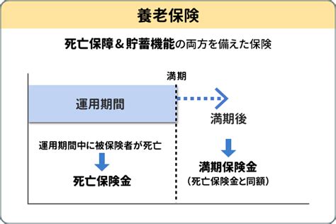 ドル建て保険のメリット・デメリットは？外貨建て保険の選び方を解説！ 三菱ufj銀行