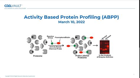 Activity Based Protein Profiling For Drug Discovery Youtube