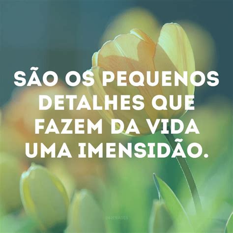 50 Frases Curtas Para Foto Lindas E Cheias De Atitude