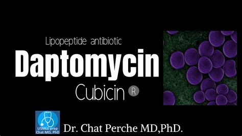 Daptomycin Cubicin Mechanism Of Actionusmle Pharmacology Youtube