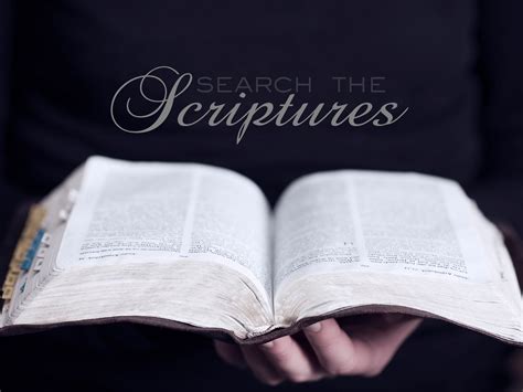 Search the Scriptures! | Christian Wallpapers