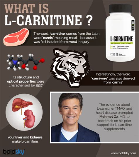 Can L Carnitine Cause Weight Loss - WeightLossLook