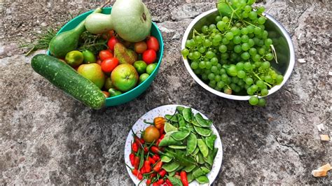 Shoker Bagan Uk Harvesting Deshi Vegetables End Of Season