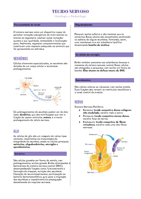 Resumo Do Tecido Nervoso - Tecido Nervoso - Resumo Anatomia humana - TECIDO NERVOSO Histologia e ...
