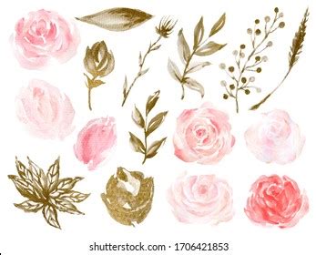 Watercolor Gold Black Illustration Rose Wild Stock Illustration