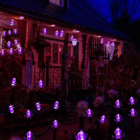 GHODEC Halloween Spider String Lights,40LED 20Ft Battery Operated ...