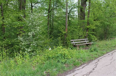 Vom Großstadttrubel in Waldidylle