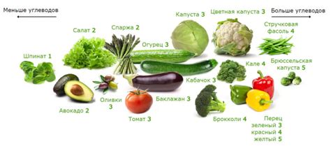 Сколько углеводов содержится в разных продуктах - LoCarb.org
