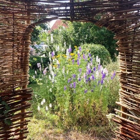 Category Kreativ Im Garten Susis Pflanzentausch