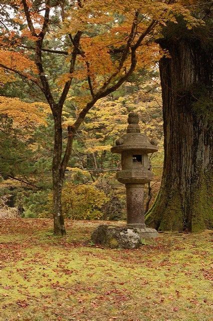 fall_colors_nikko | Kyuhoshi