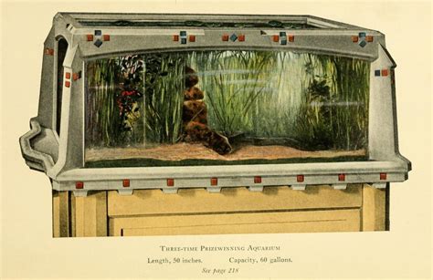 Antique aquariums on Pinterest | Aquarium, Antiques and Fish Tanks