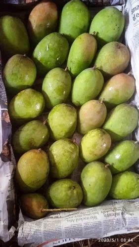 Yellow Malda Fulia Himsagar Mango Crate Packaging Size Kg At Rs