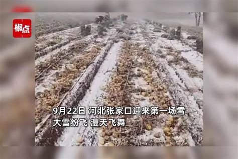 一秒入冬！河北多地9月飞雪：村民在风雪交加中抢收土豆