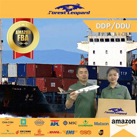 Top Shipping Professional Freight Forwarder Ups Dhl Ems Fedex Express