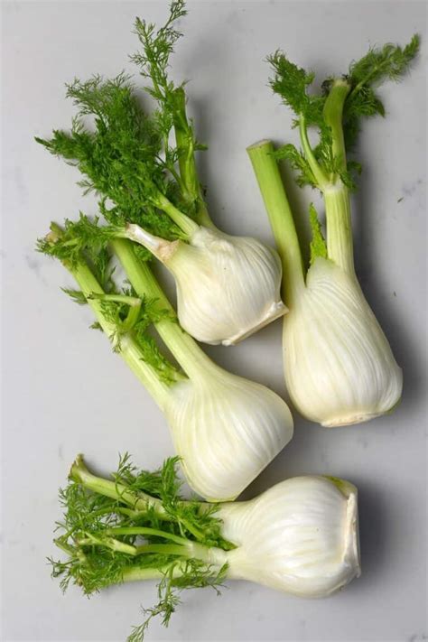 What Is Fennel And How To Cook It Alphafoodie