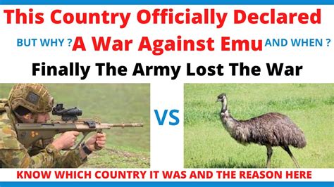 The Official War Against Emu What Was The Great Emu War 1932 Emu War