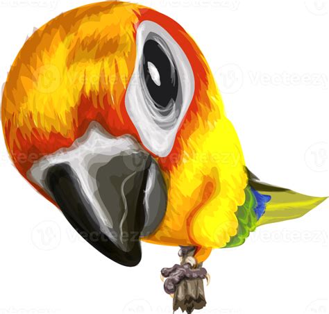 Parrot Watercolor Illustration 16620884 PNG