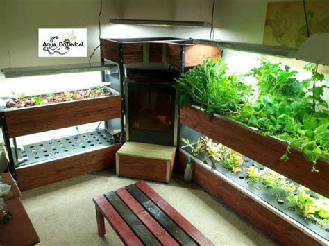 Creative Regulated Aquaponic Diy Get Started Indoor Aquaponics