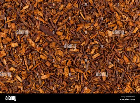 Dry Rooibos Healthy Traditional Organic Tea Close Up Stock Photo Alamy