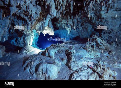 Guiado Por Su Antorcha Este Buceador Explora Las Cuevas Submarinas