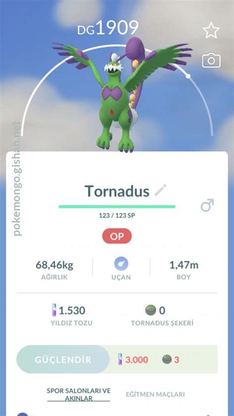 Tornadus (Therian Forme) - Pokemon Go