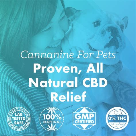 Cannanine Organic Hemp Cbd Oil For Dogs And Cats