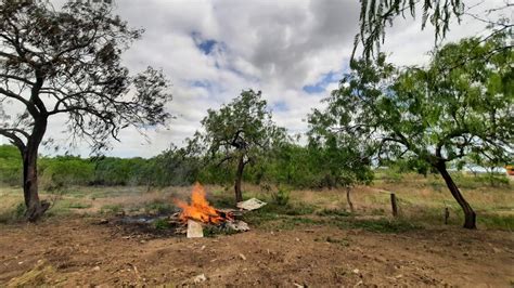 Rancho El Tecolote Remodelando El Nuevo Corral Para Las Indomables