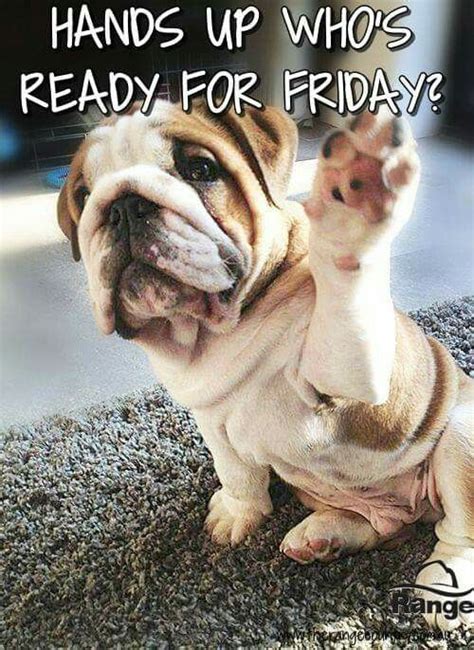 Hands Up Who Is Ready For Friday Pictures Photos And Images For