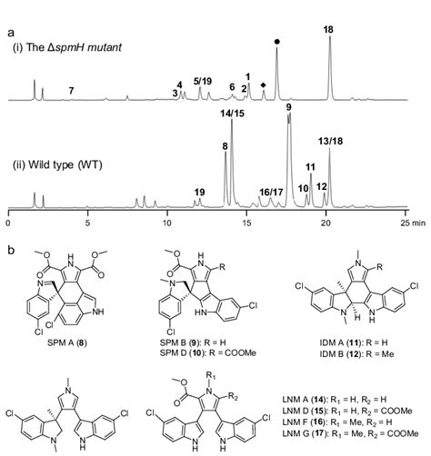 Comparative Hplc Analysis Of Metabolite Profiles A And Chemical