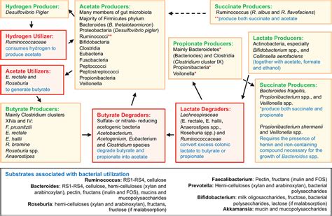 Frontiers Mucosal Interactions Between Genetics Diet And Microbiome In Inflammatory Bowel