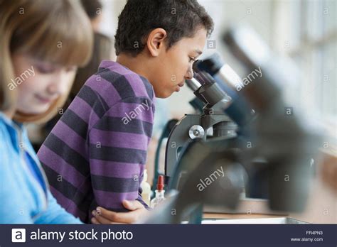 Middle School Students Using Microscopes Stock Photo Alamy