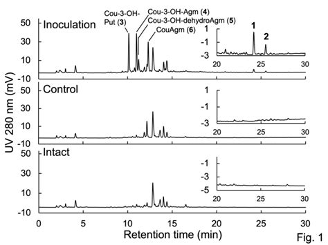 High Performance Liquid Chromatography Hplc Analysis Of Extracts From