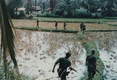 Vietnam Rice Paddy Daddy Vietnam War Vietnam War Photos Vietnam