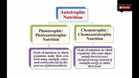 Chemoautotrophs