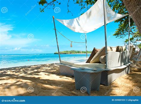 Luxury Relax Chair On A Tropical Beach Stock Image Image Of Lagoon