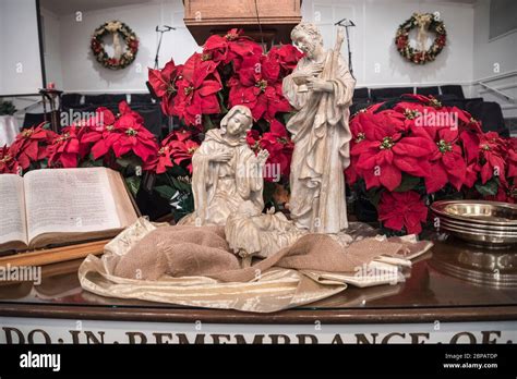 Flores De Poinsettia Rodean Un Altar De La Iglesia Bautista Con Escena