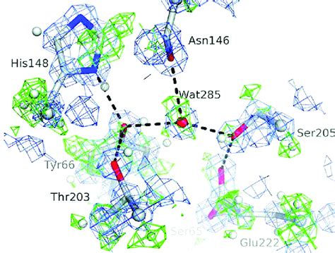 Hydrogen Omit Electron Density Maps Of The Chromophore Region From