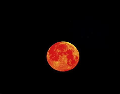 Orange Moon Orange Moon Moon Orange